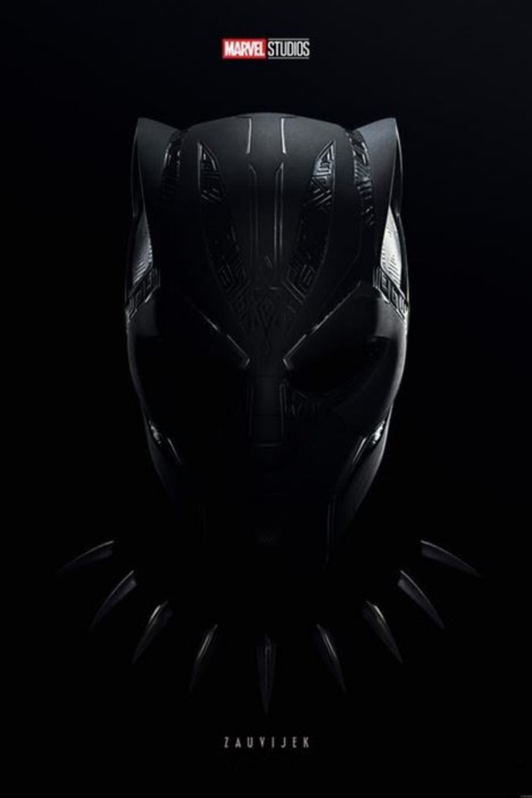 KINO / BLACK PANTHER: WAKANDA ZAUVIJEK